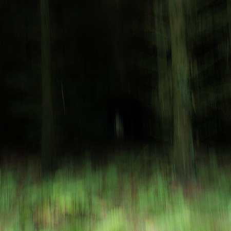 A Forest #4