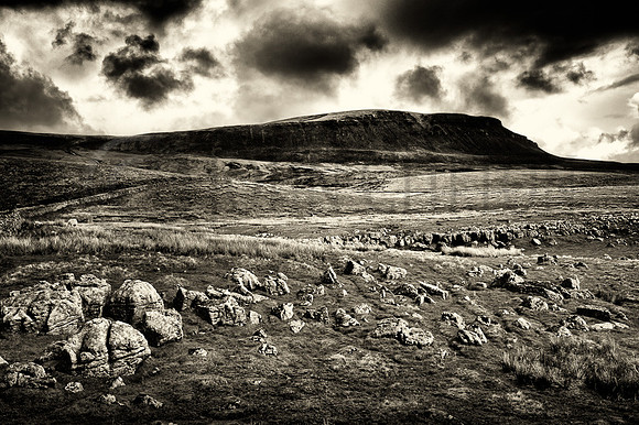 Pen-y-Ghent from Horton Scar