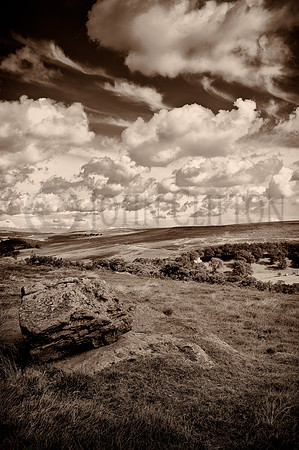 Wheeldale Moor, North Yorkshire