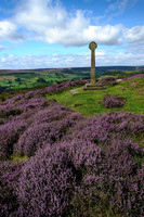 Rosedale Millenium Cross
