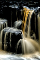 Nelly Ayre Foss (detail)