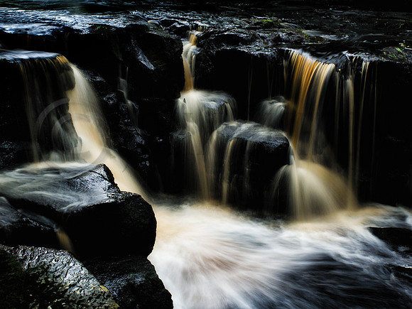 Nelly Ayre Foss