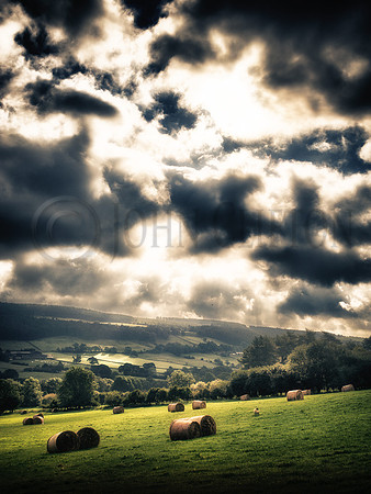 Rosedale, Summer's End